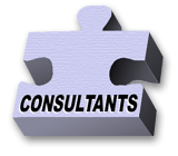 Computer Software Consulting